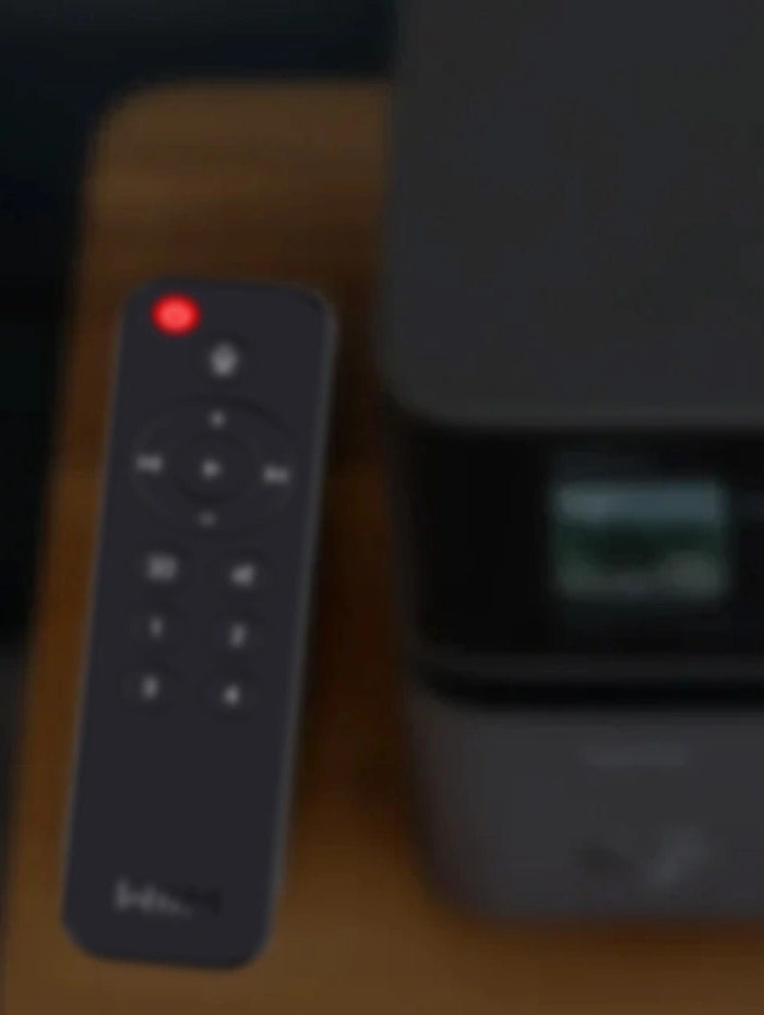 Usage scenarios of WiiM Voice Remote 1