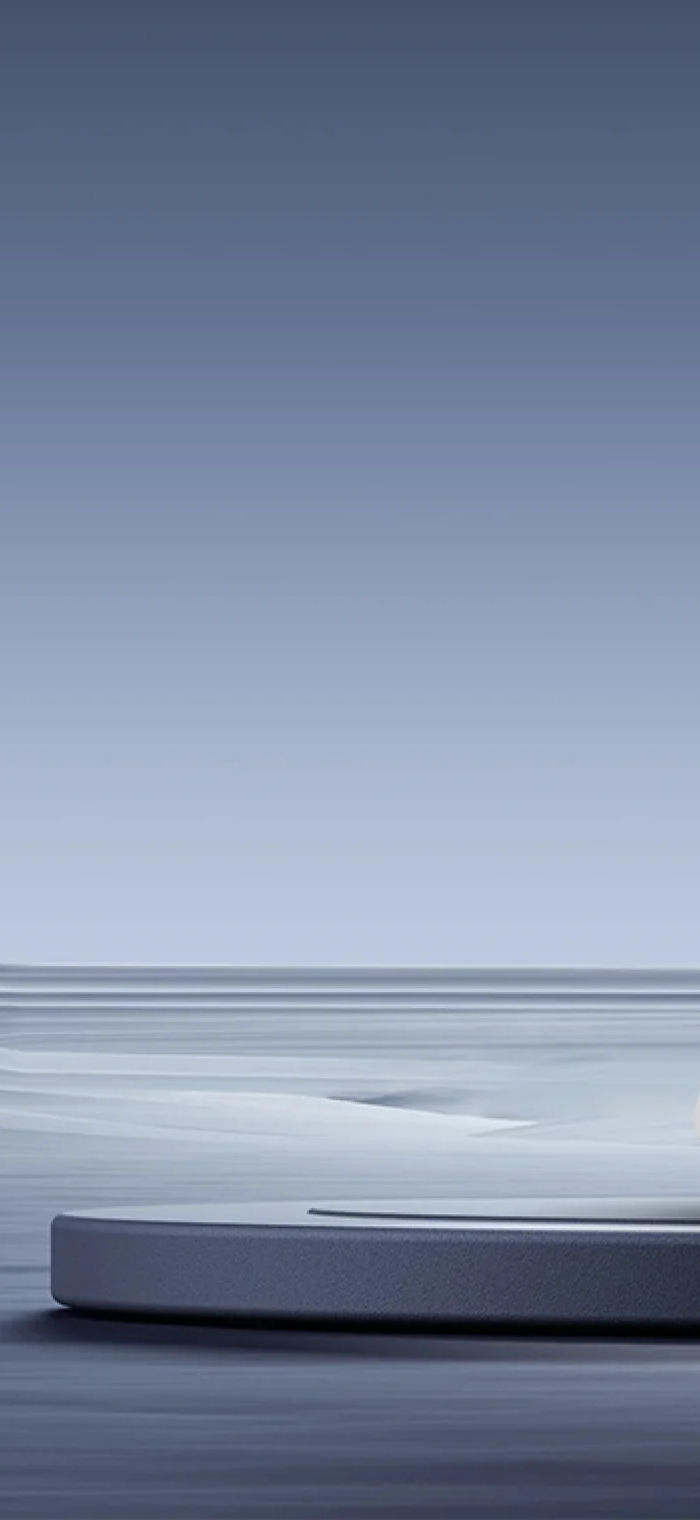 <h1>WiiM Voice Remote 2</h1>