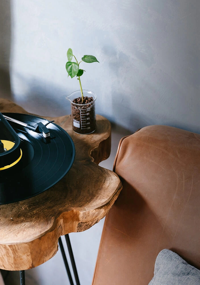 <h4>/ Retro Kitsch Design</h4><h1>Return of an lcon</h1>