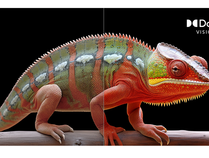 <p>Provide a higher dynamic range of light and shadebetter performance and excellent quality of picture</p><p>depth each frame is more bright, fresh and deep</p>