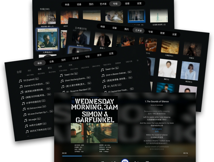 <h2><strong>Music database matching ability</strong></h2><h2><strong>rivals professional digital music player</strong></h2>