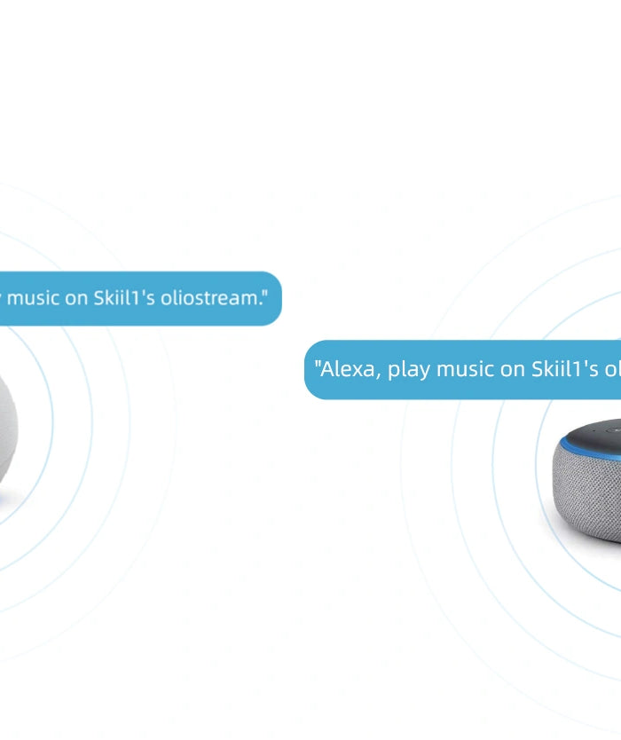 <h1>Work with Alexa</h1>