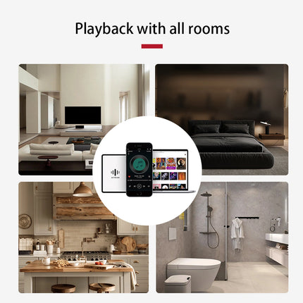 EMiUZEK R20 Wireless Bluetooth Audio Receiver