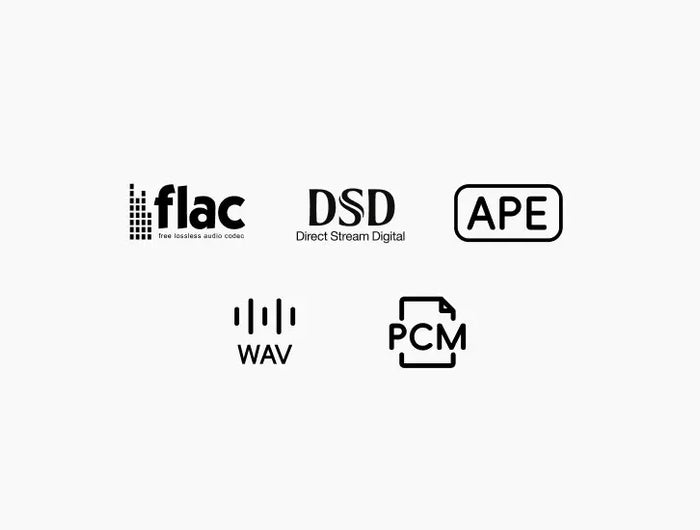 <h1>Extensive Format Support</h1>