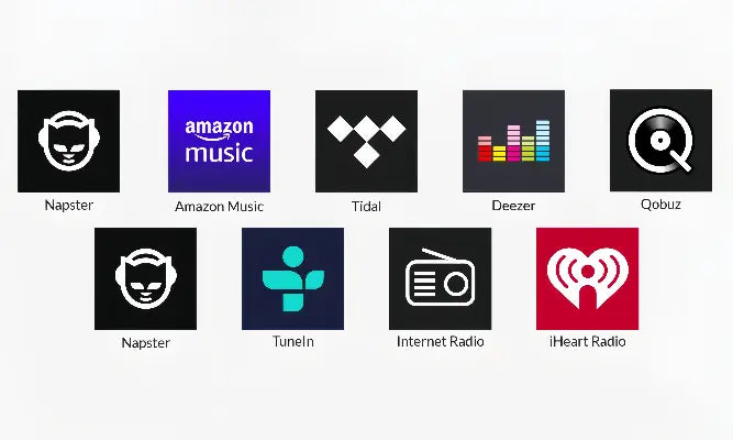 Arylic supports Amazon Music, Tidal, Deezer, Qobuz, Napster, TuneIn, iHeartRadio, and other major music platforms.