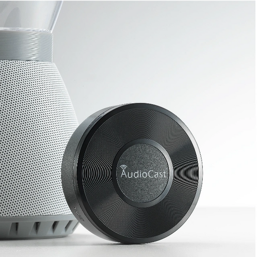 <h2><strong>What is AudioCast</strong></h2>