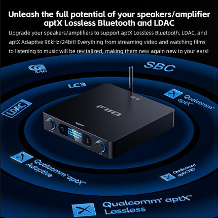 FiiO BR15 R2R