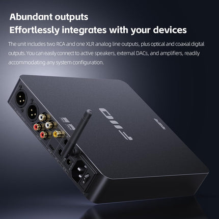 FiiO BR15 R2R