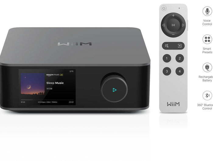 <h1><strong>Take full control with the WiiM Voice Remote 2</strong></h1>