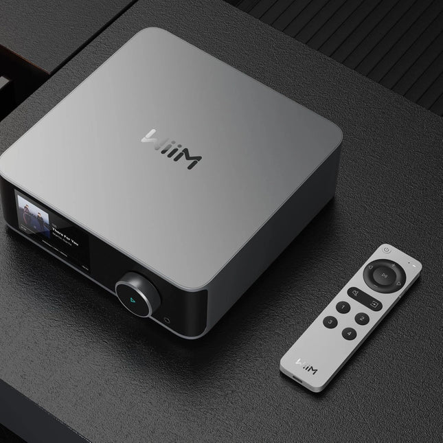 WiiM Voice Remote 2 for WiiM Music Streamers and Amplifiers